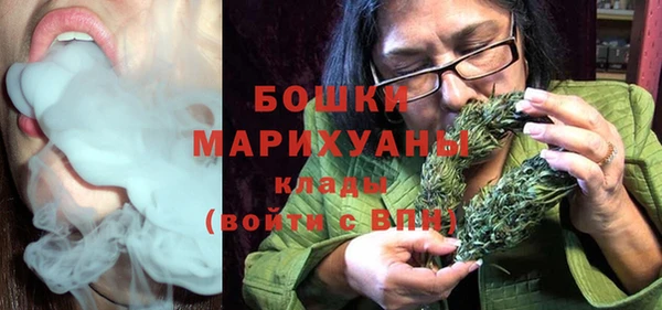мдпв Верея