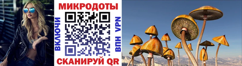 hydra tor  Тотьма  Галлюциногенные грибы Magic Shrooms 